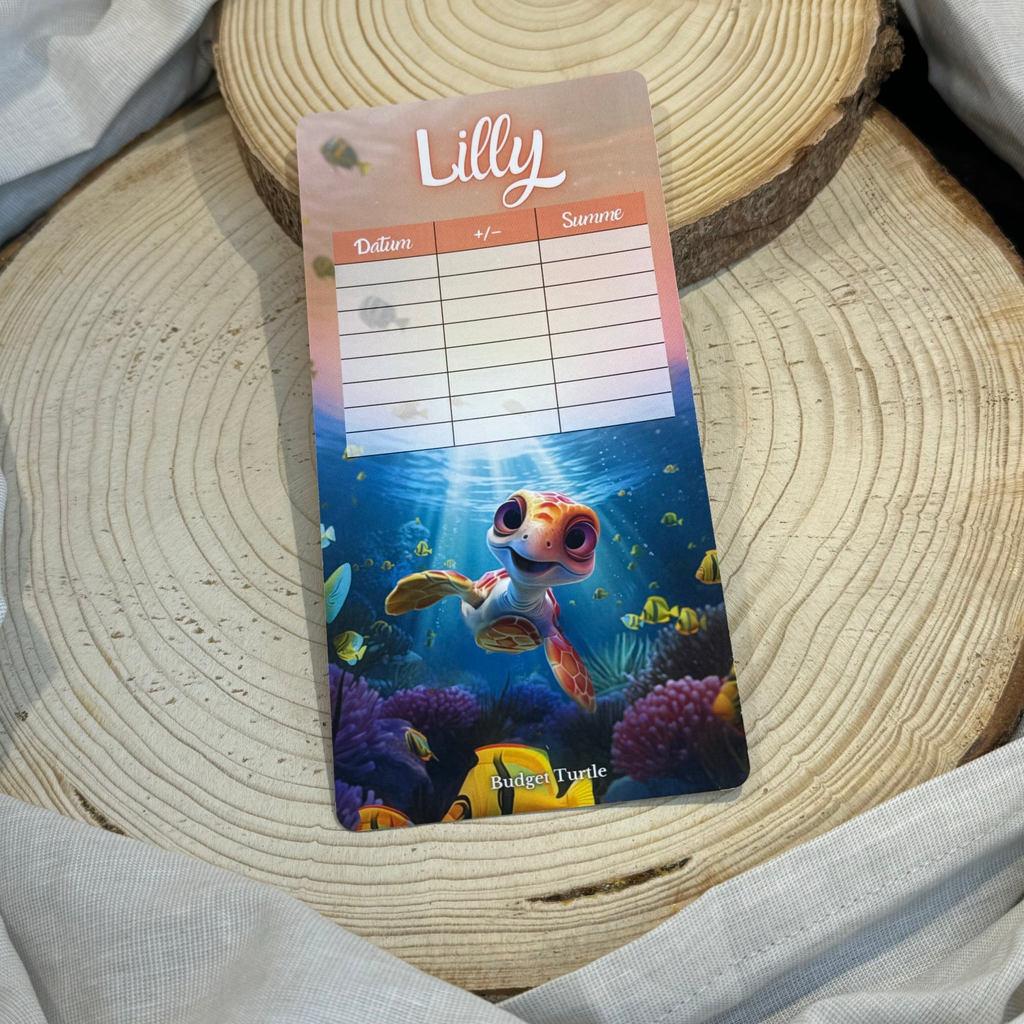 Abstreich-Challenge Lilly // Turtle Challenge // Budgetplanung // Sparchallenge// Challenge mit Tracker