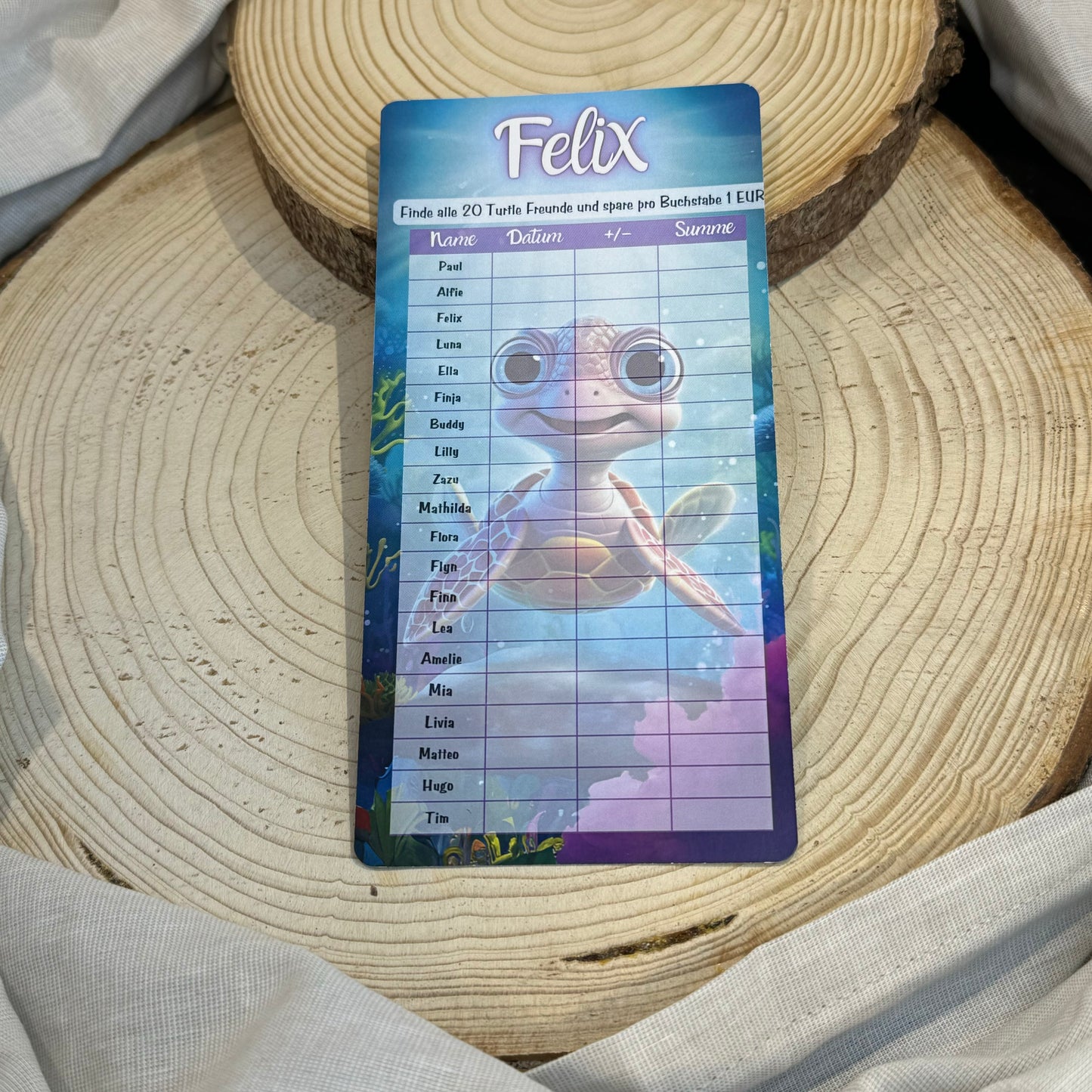 Wortsuche-Challenge Felix // Turtle Challenge // Budgetplanung // Sparchallenge// Challenge mit Tracker