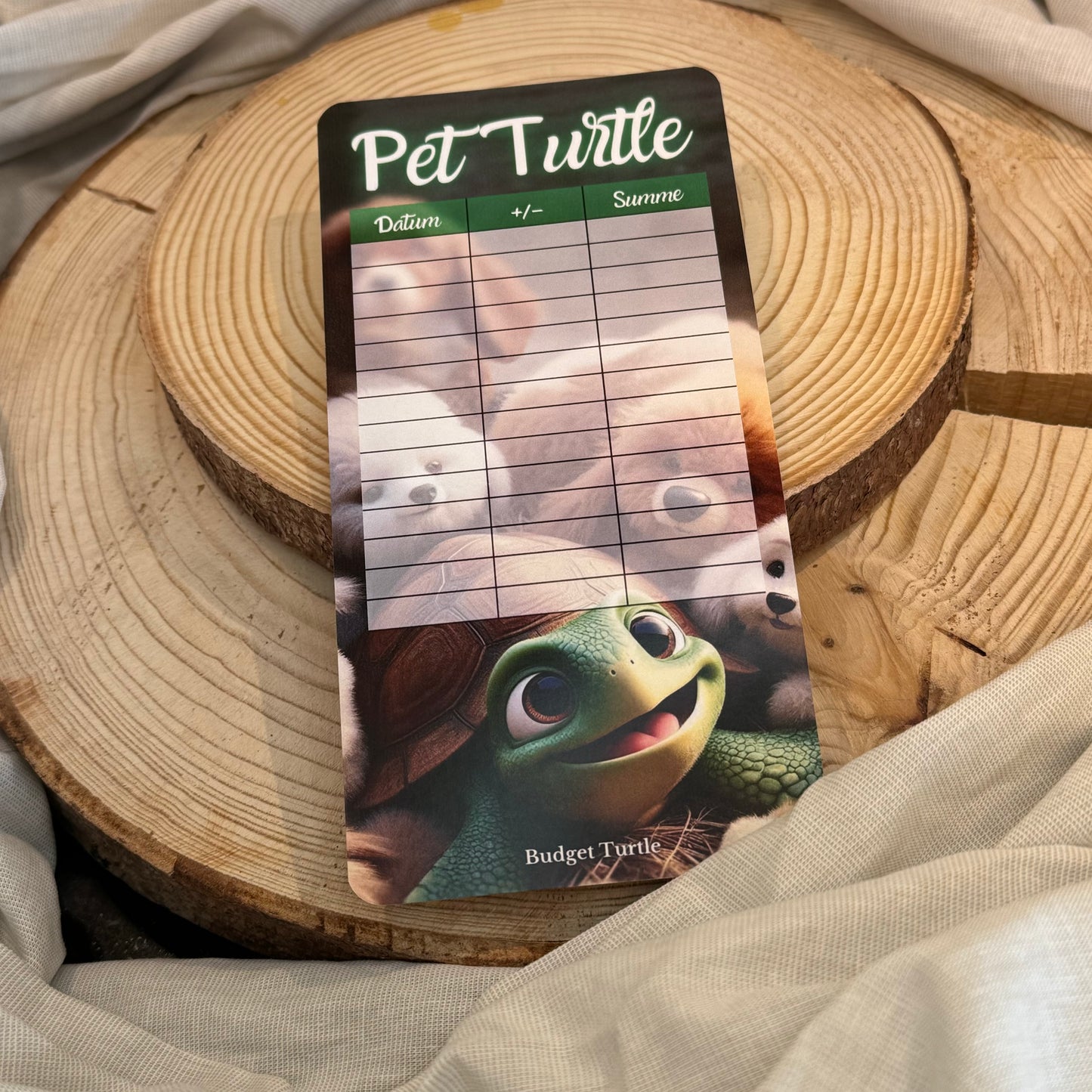 PET TURTLE // Budgetplanung // Sparchallenge // Challenge mit Tracker // Rubbel-&Würfelchallenge