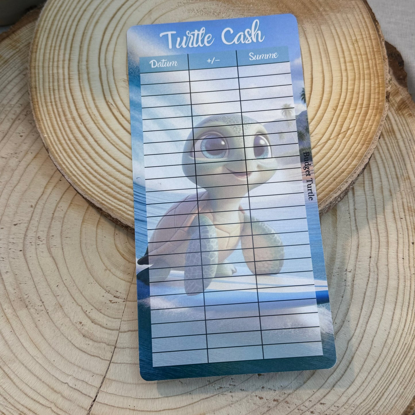 Kleingeld-Challenge Turtle Cash // Budgetplanung // Sparchallenge // Challenge mit Tracker