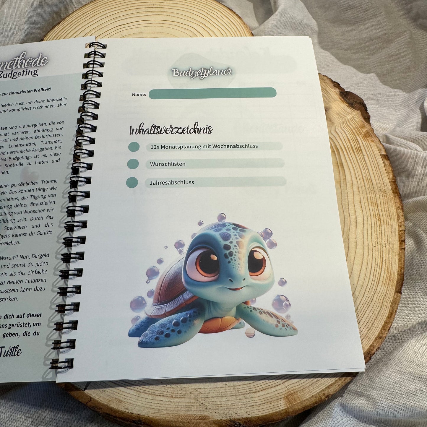 Turtle Budgetplaner DinA5 // Jahresplaner zum Budgetieren // Ringbuch // Umschlagmethode