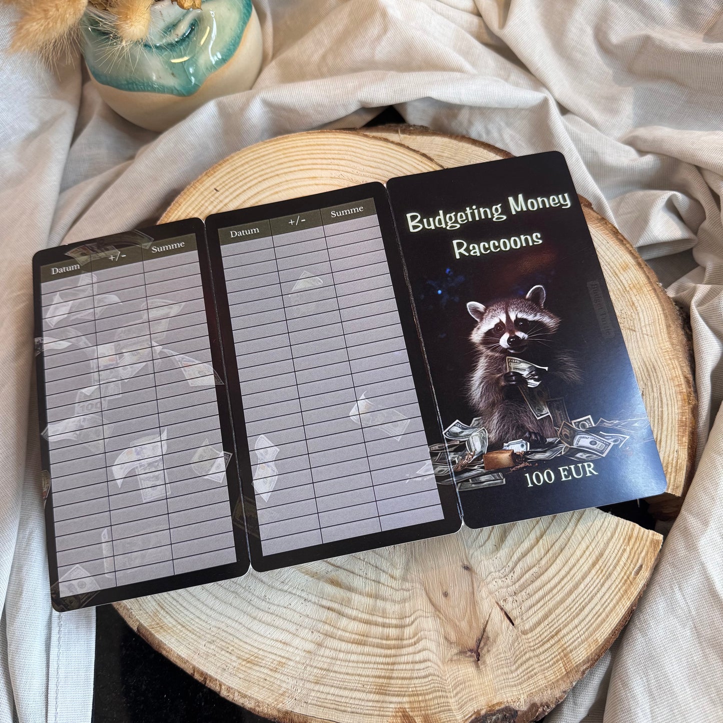 Spar Raccoon Klappkarte // Budgetplanung // Sparchallenge // Challenge mit Tracker