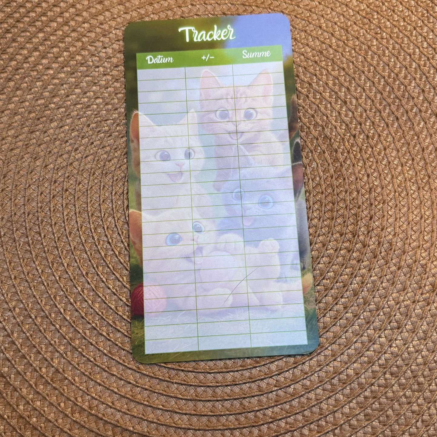 Katzen Mini Jahreschallenge // Sparchallenge // mit Würfel, Lose, Dashboard und Tracker