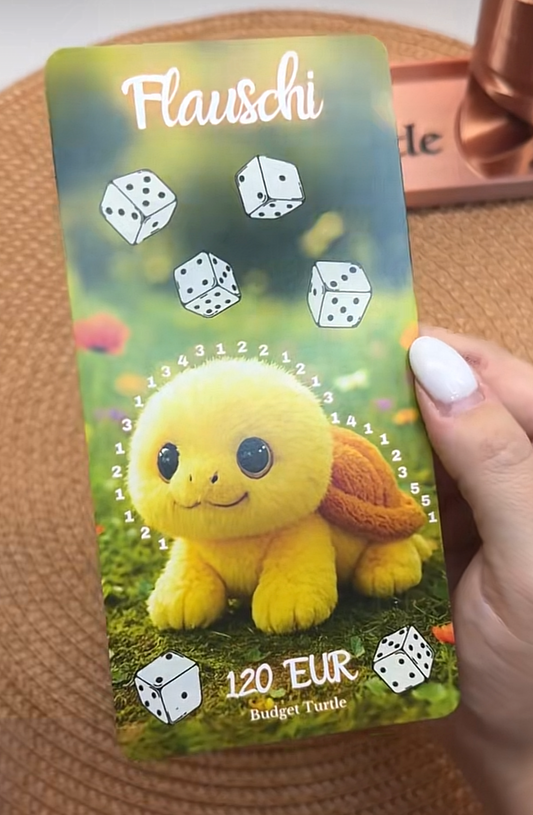 Flauschi // Budgetplanung // Sparchallenge// Challenge mit Tracker