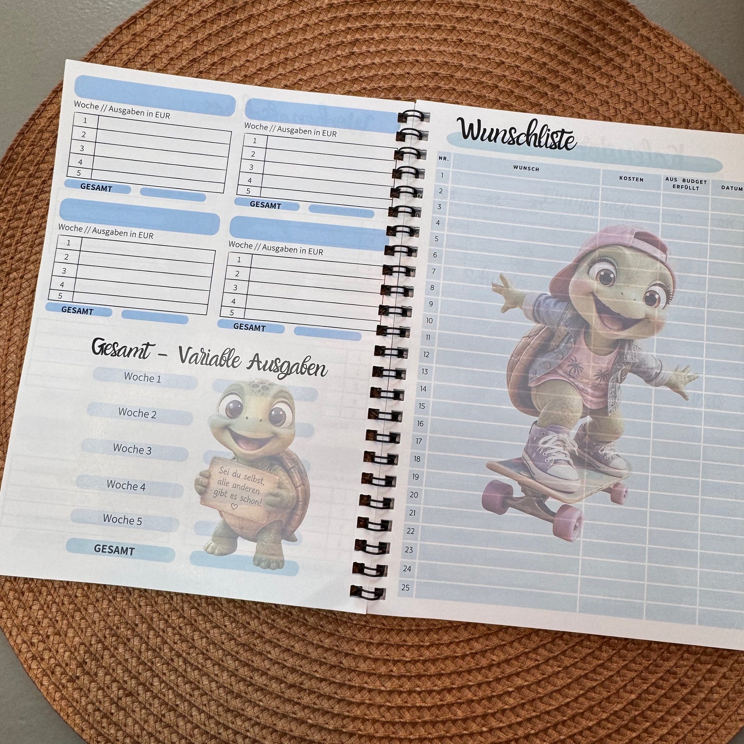NEU Turtle Budgetplaner DinA5 // Jahresplaner zum Budgetieren // Ringbuch // Umschlagmethode