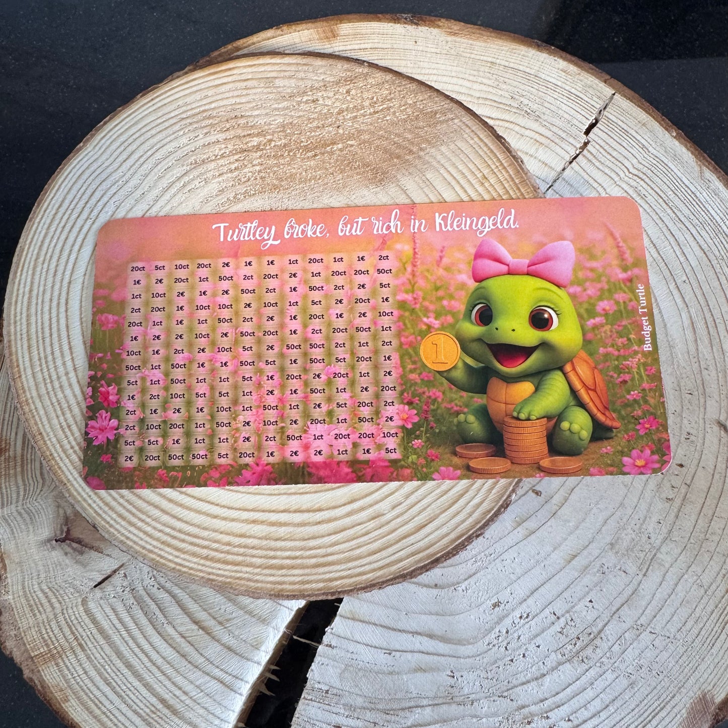 A6 Kleingeld-Challenge // Budgetplanung // Sparchallenge // Challenge mit Tracker