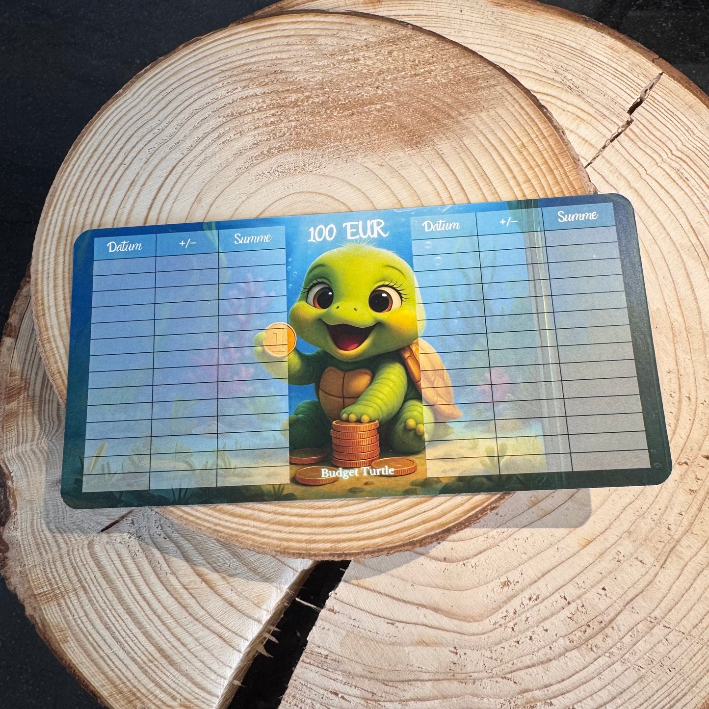 A6 Kleingeld-Challenge // Budgetplanung // Sparchallenge // Challenge mit Tracker