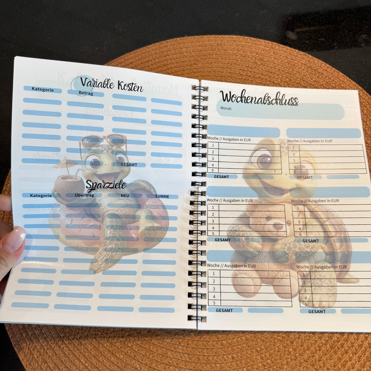 NEU Turtle Budgetplaner DinA5 // Jahresplaner zum Budgetieren // Ringbuch // Umschlagmethode