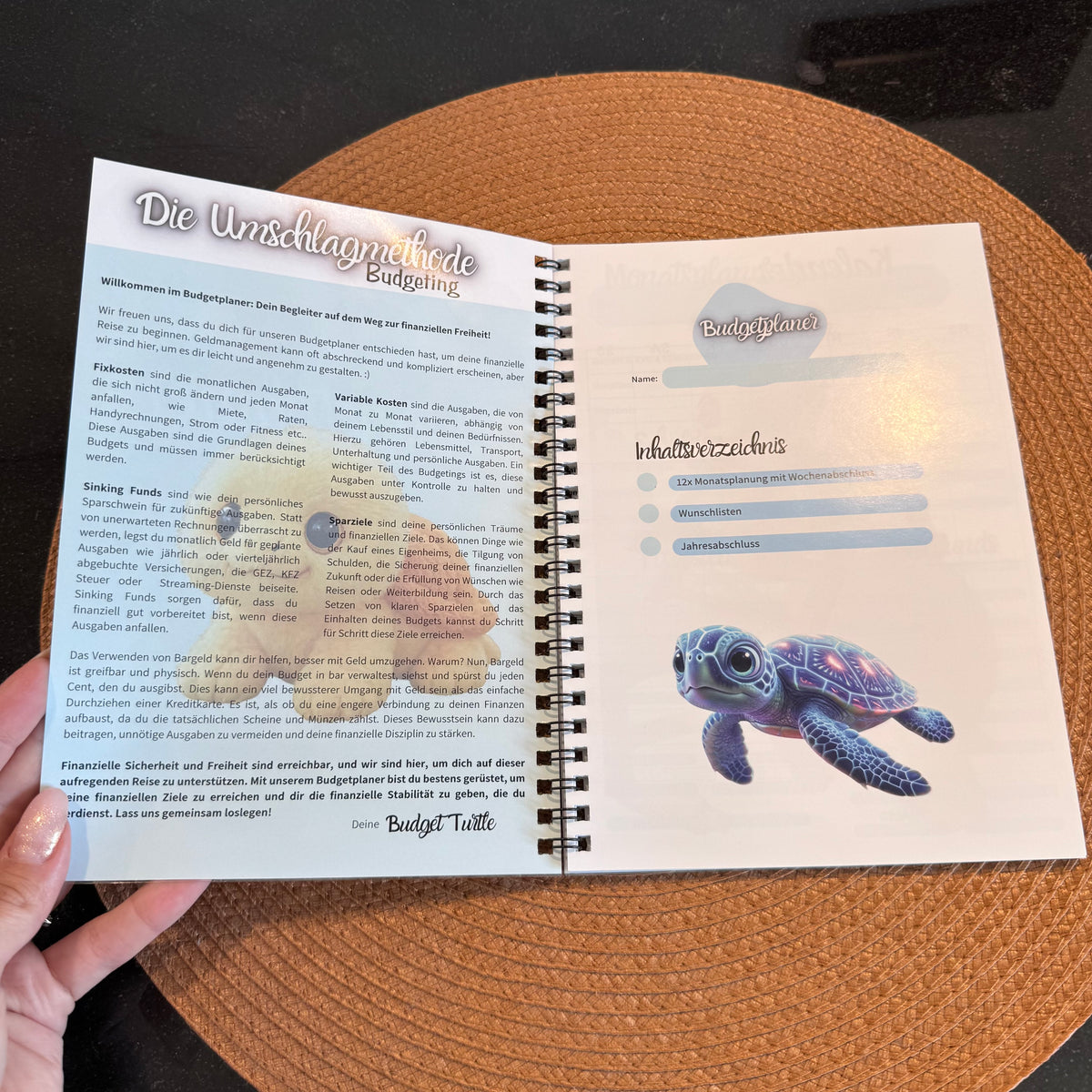 NEU Turtle Budgetplaner DinA5 // Jahresplaner zum Budgetieren // Ringbuch // Umschlagmethode