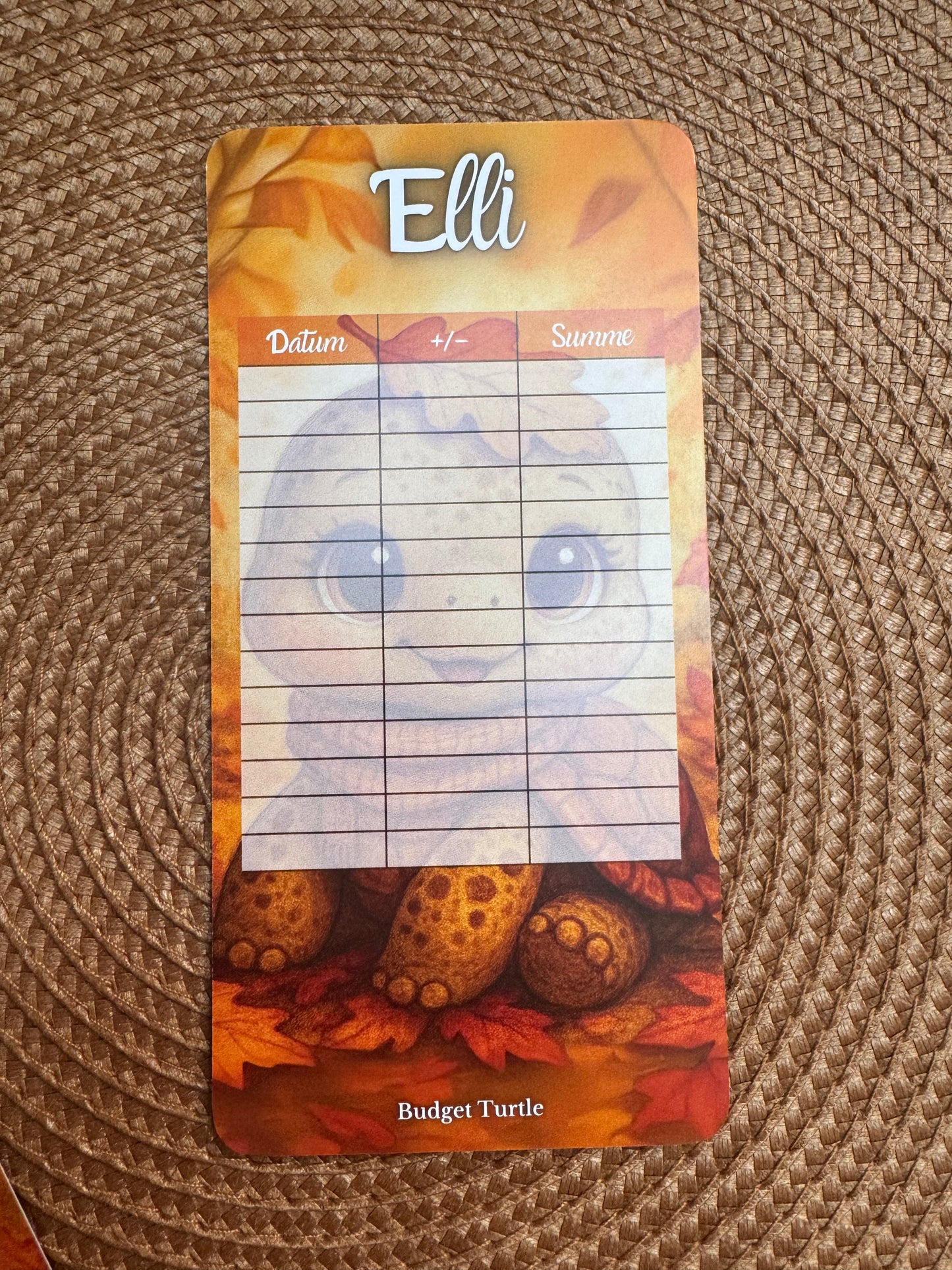 Elli // Budgetplanung // Sparchallenge // Challenge mit Tracker // Rubbel-&Würfelchallenge