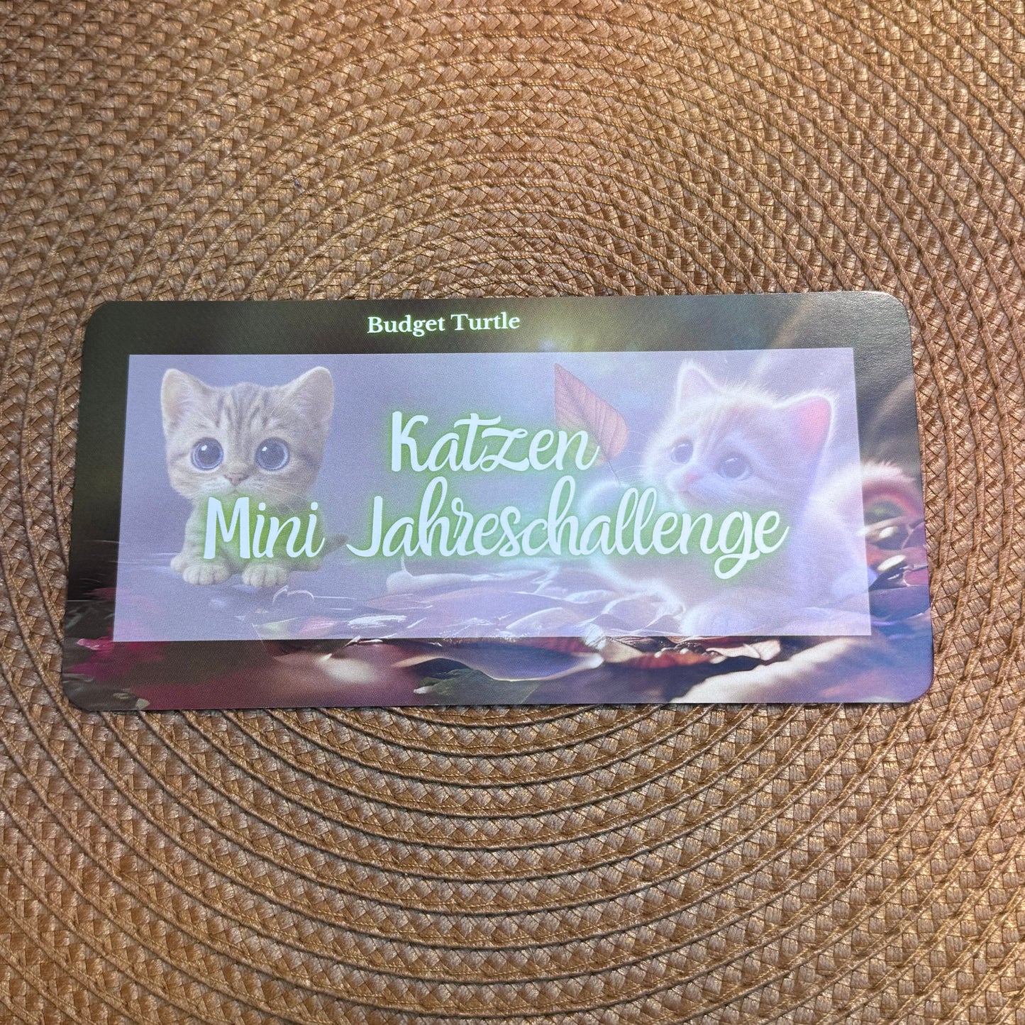 Katzen Mini Jahreschallenge // Sparchallenge // mit Würfel, Lose, Dashboard und Tracker